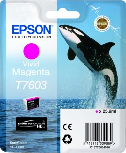 CMYK - Epson T7603 - C13T76034010