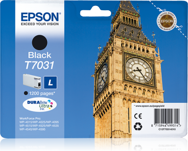 CMYK - Epson T7031 - C13T70314010