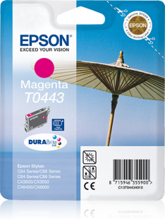 CMYK - Epson T0443 - C13T04434010