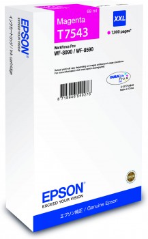 CMYK - Epson T7543 - C13T754340